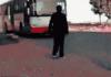 Another Bus Troll