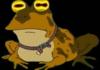 ALL GLORY TO THE HYPNOTOAD!