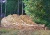 Amazing Wood Pile
