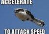 Attack speed