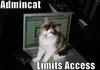 admin cat