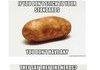 Inspirational Potato Comp Part 2