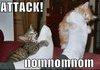 Attaaaack!