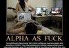 Alpha As F$%#