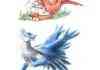 Awesome pokemon pt 6