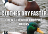 Actual advice mallard comp