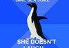 awkward penguin