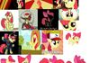 Apple Bloom Comp