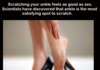 Ankle Sex