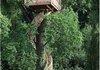 awesome tree house 1