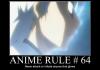 Anime Rule #64