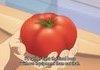 when you hateo the tomato