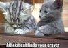 Atheist kitten