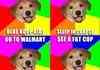 Advice dog lolz