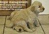 Anger Management...