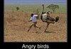 Angry Birds