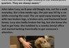 Awesome Dog Stories comp PART 2
