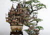 Amazing bonsai tree sculpture!