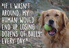 Dog Thoughts