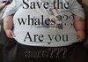 Are you sure you want to save the whales