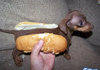 A hot dog