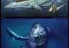 Awesome sea monsters.