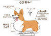 Anatomy of Corgis