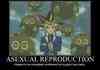 Asexual Reproduction