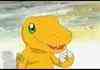 agumon flips you off