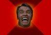 Angry Arnold