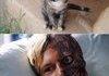 Two Face cat