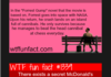 WTF Fun Fun Facts Comp Vol. 3 Part 4