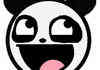 Awesome Panda