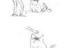 silly cats