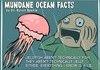 Amazing Ocean Facts
