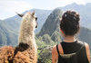 Admiring Machu Picchu