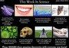 This Week In Science