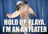 Anteater