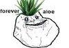 ALOE