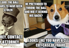 Attorney Dog