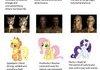 A pan-diminsional comparison. (Ponies)