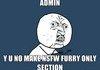 admin y u no