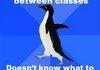 Awkward Penguin