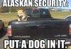 Alaskan Security
