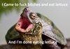 All outta lettuce.....