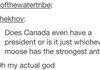 Tumblr's View on Canada