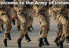 Army of Ireland