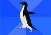 akward penguin is akward