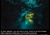 Amazing cave found in New Zealand