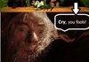 Advice from Gandalf